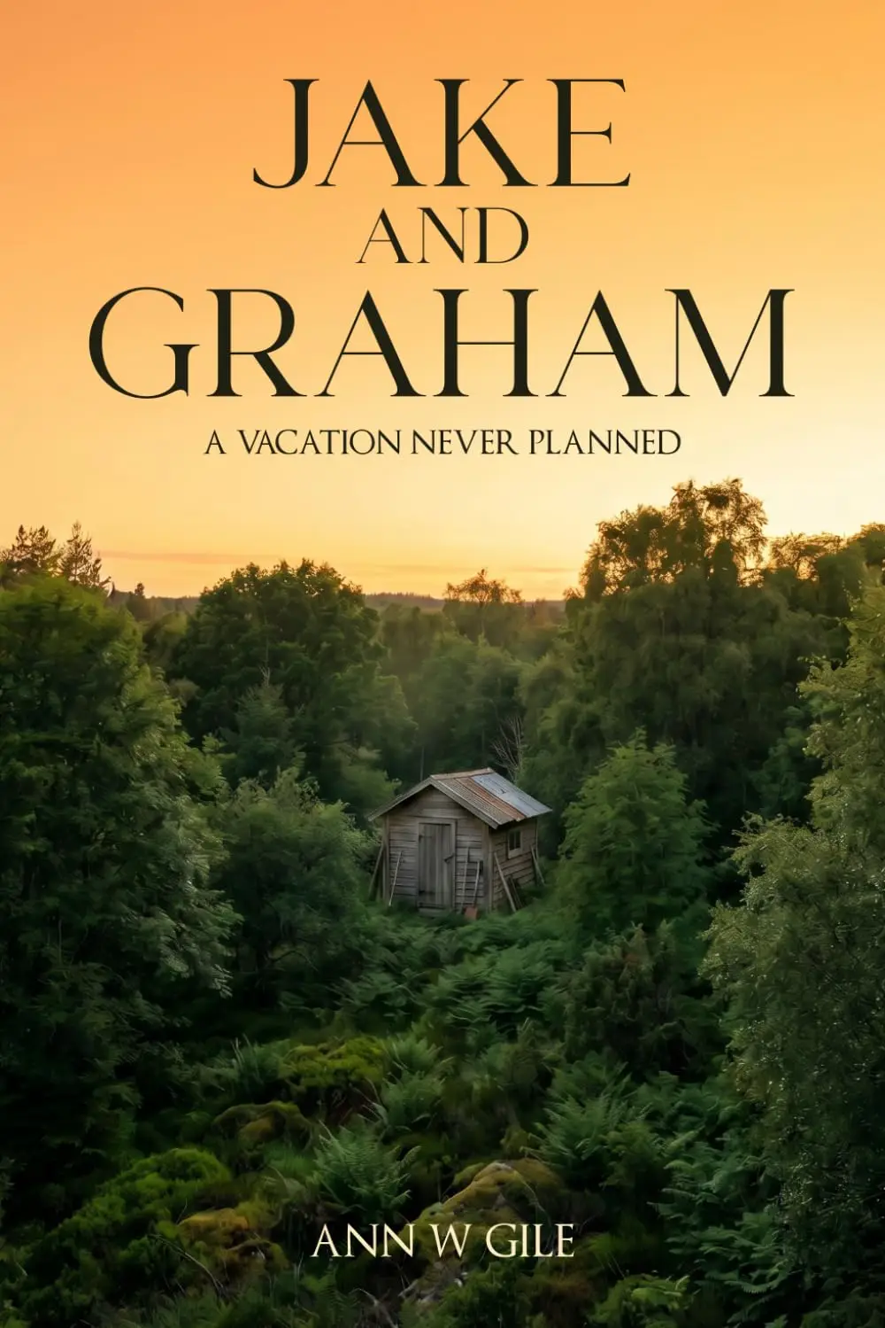 Custom book cover design created by Trusted Book Publishing